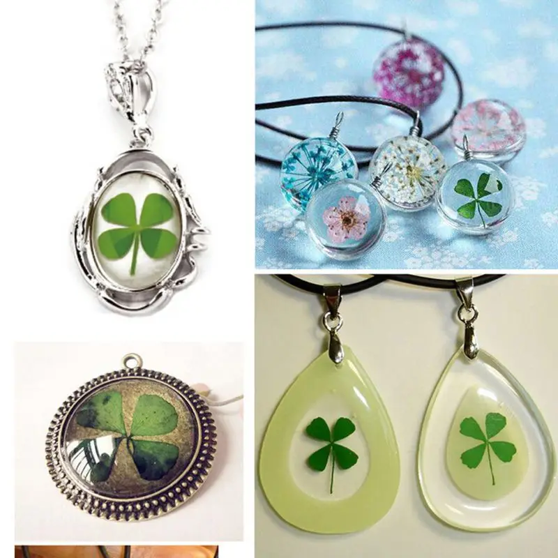 12Pcs Lucky Dried Leaf Clover  - Body Jewelry Display Case review and price